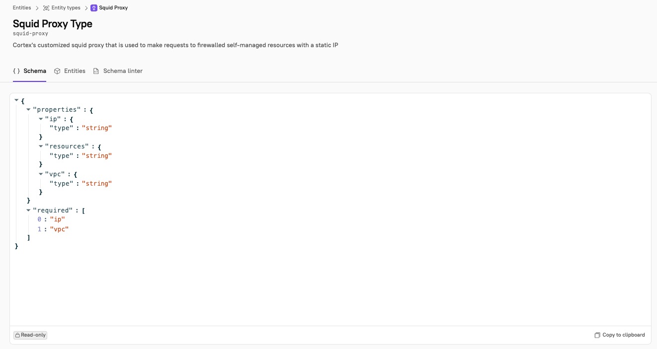 The schema is displayed on the entity type page.