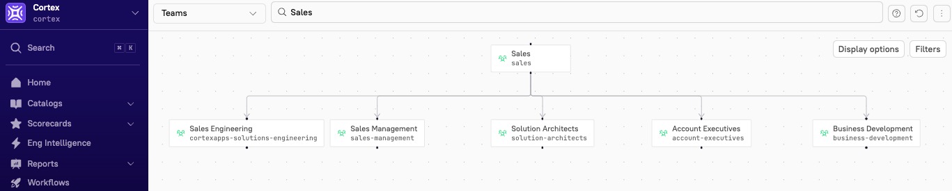 Visualize teams in the relationship graph.